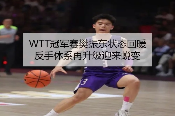 WTT冠军赛樊振东状态回暖 反手体系再升级迎来蜕变