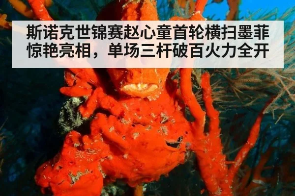 斯诺克世锦赛赵心童首轮横扫墨菲惊艳亮相，单场三杆破百火力全开